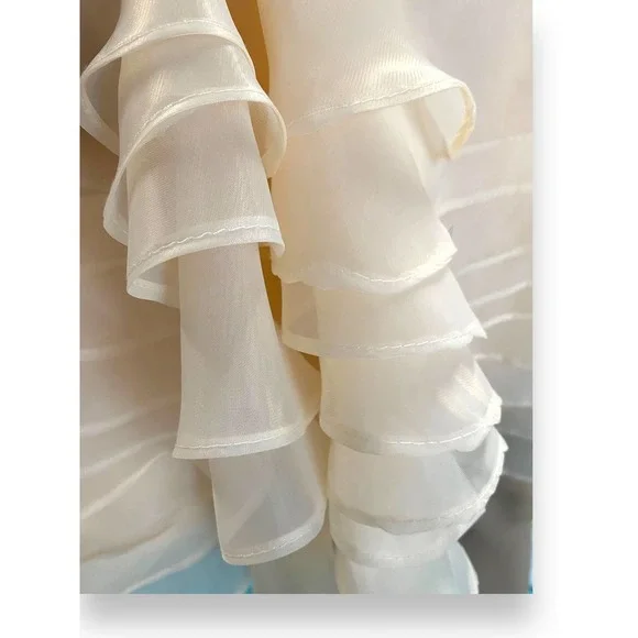 NWT * A-line Organza Mini Dress with Scoop Neck and Flowered Applique - Picture 3 of 9